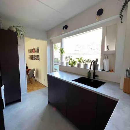 Appartamento Midden In De Met Balkon En Dakterras Haarlem