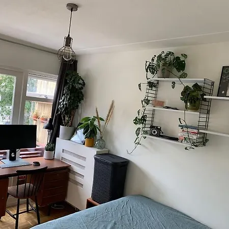 Appartamento Midden In De Met Balkon En Dakterras Haarlem