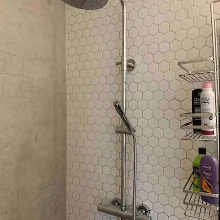 Midden In De Met Balkon En Dakterras Appartamento